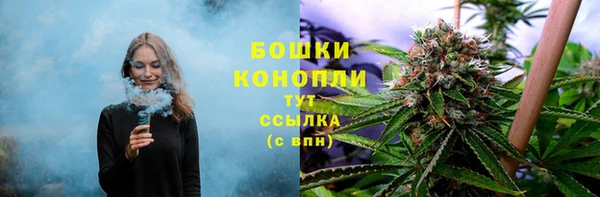 крисы Вяземский