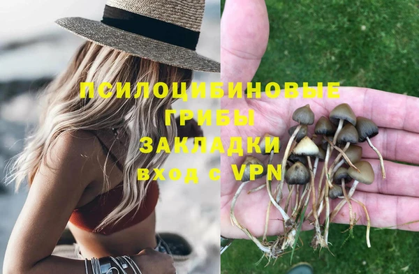 метадон Нея