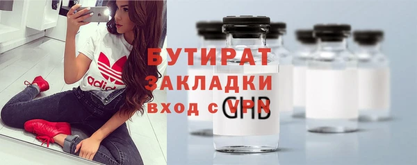 гидра Кедровый